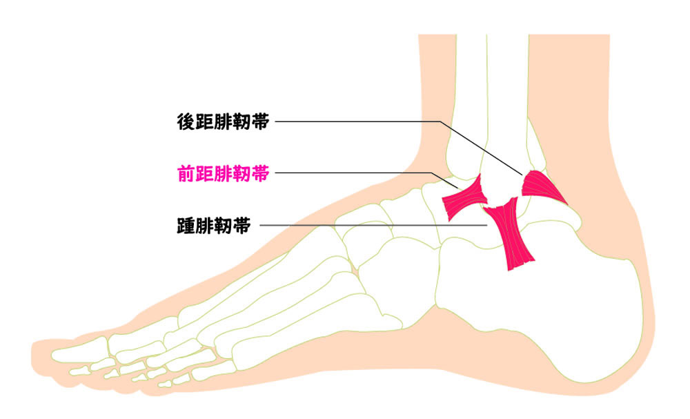 の 外側 痛い 足首 が